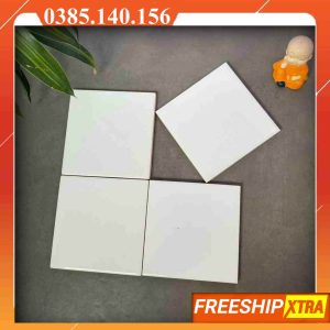 Gạch mosaic 10x10 trắng bóng VIN1102