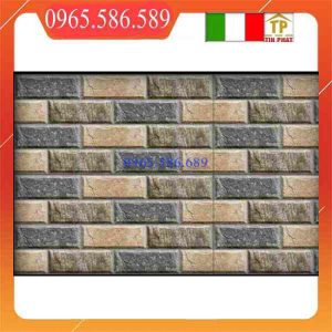 Gạch ốp trang trí 30x60 TOCERA p36982