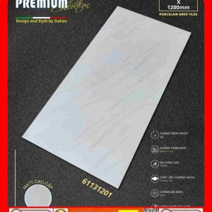 Gạch 60x120 Apodio 61131201 đá mờ mịn trắng vân xám