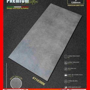 Gạch 60x120 Apodio 61143006 đá mờ màu xám xi măng