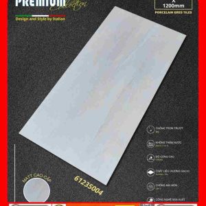 Gạch 60x120 Apodio 61235004 đá mờ