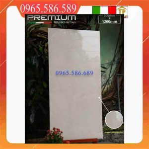 Gạch 60x120 APODIO 61281025 bóng kính