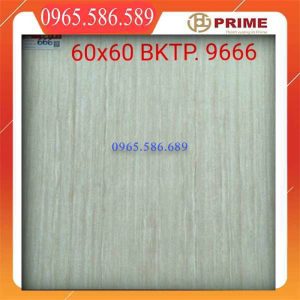 Gạch 60x60 Prime 9666