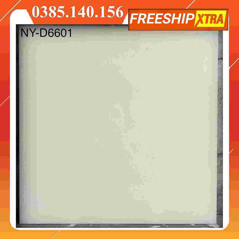 Gạch 60x60 Eurotile Viglacera 2 da D-6601