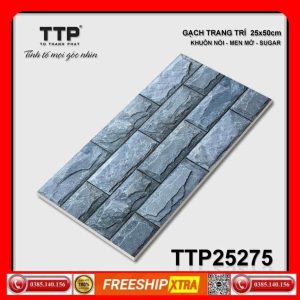 Gạch ốp 25x50 TOCERA 25275 TTP trang trí đá chữ nhật xám