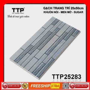 Gạch ốp 30x60 TOCERA 25283 TTP trang trí
