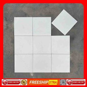 Gạch bông 20x20 NT-2200 màu đen mờ VIN200