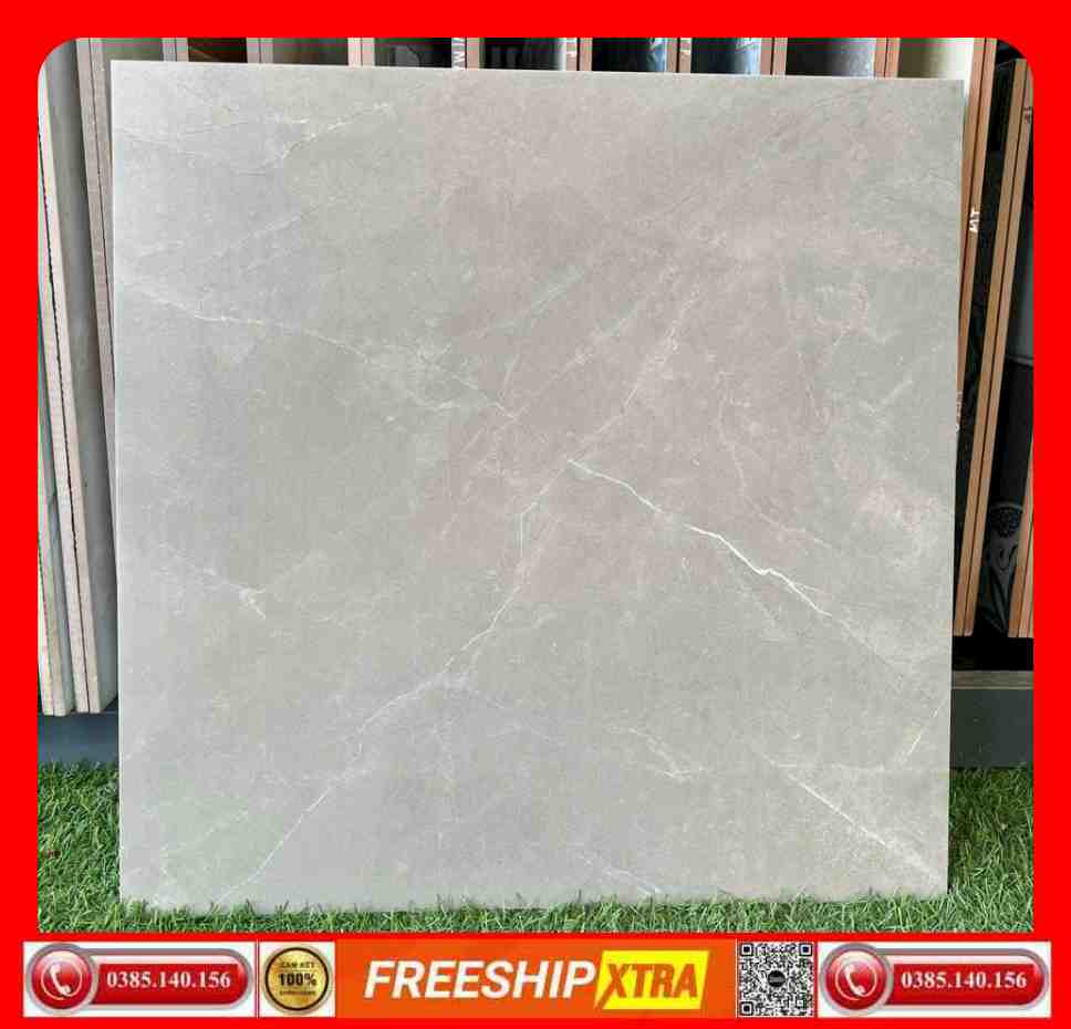 Gạch 60x60 Á Mỹ 3164 đá mờ mịn màu xám nhạt