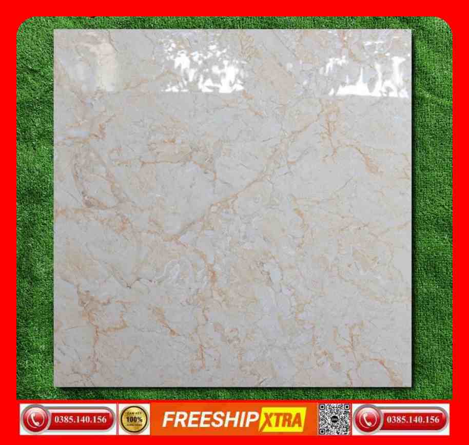 Gạch lát 60x60 Apodio-P614 màu vàng