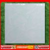 Gạch lát 60x60 Apodio-P616