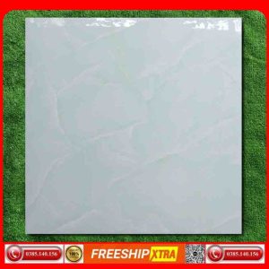 Gạch lát 60x60 Apodio-P616