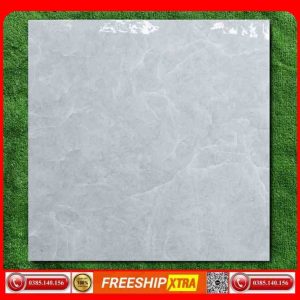 Gạch lát 60x60 Apodio-P618