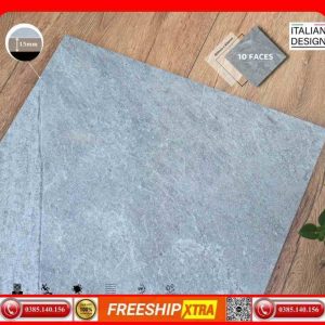 Gạch lát sân 60x60 APODIO SG-501