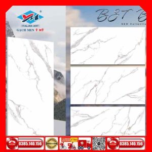 Gạch 60x120 Ý Mỹ N61248011R