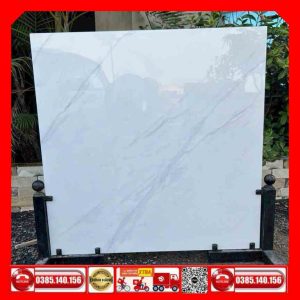 Gạch 100x100 Ấn Độ 7102 MTH