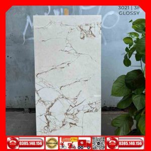 Gạch 60x120 Ấn Độ 3021 MTH
