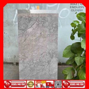 Gạch 60x120 Ấn Độ 3043 MTH