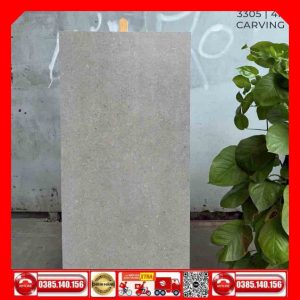 Gạch 60x120 Ấn Độ 3305 MTH