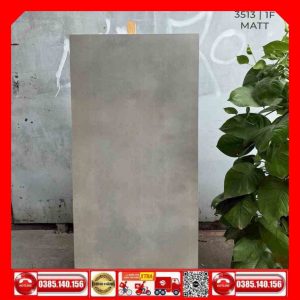 Gạch 60x120 Ấn Độ 3513 MTH