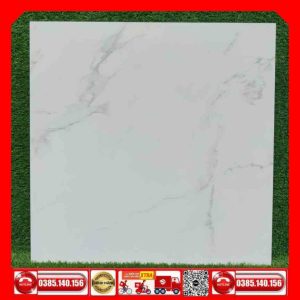 Gạch 80x80 Ấn Độ 2017 MTH