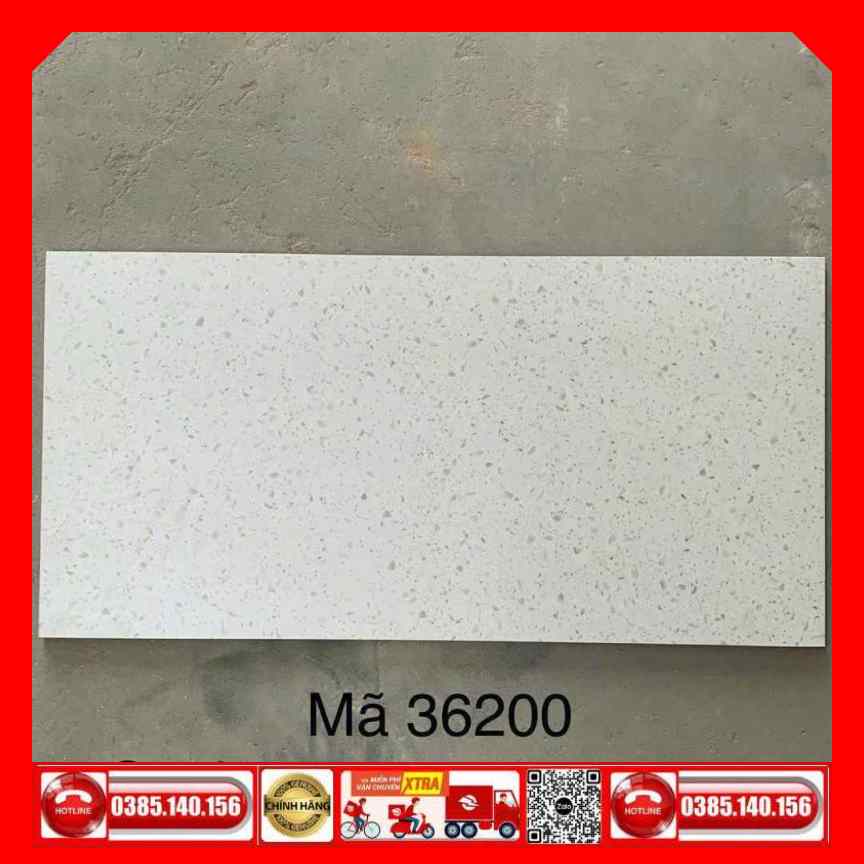 Gạch 30x60 Terrazzo 36200 đá mờ