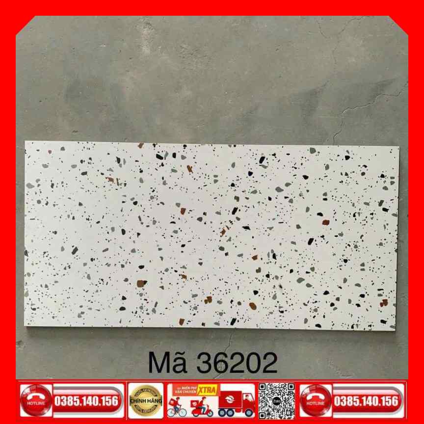Gạch 30x60 Terrazzo 36200 đá mờ - Ảnh 4