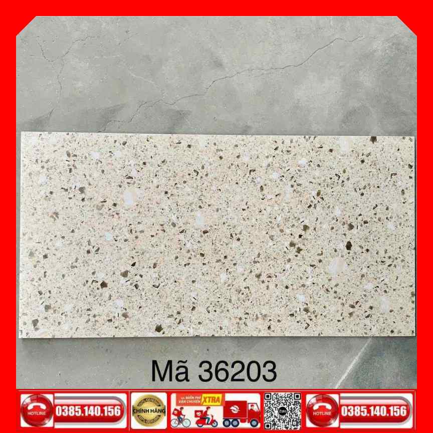 Gạch 30x60 Terrazzo 36200 đá mờ - Ảnh 5