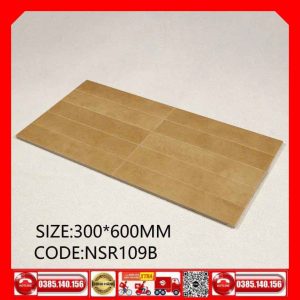 Gạch 30x60 ốp trang trí NSR109B
