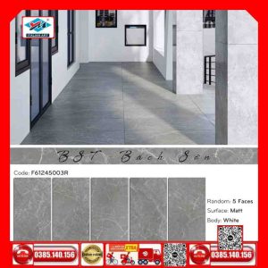 Gạch 60x120 Ý Mỹ F61245003R