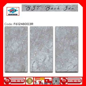 Gạch 60x120 Ý Mỹ F61248003R