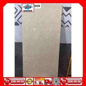 Gạch 60x120 Ý Mỹ P61248009