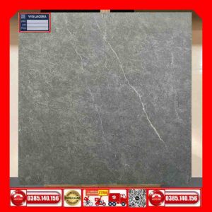 Gạch 80x80 Viglacera GA-M88010