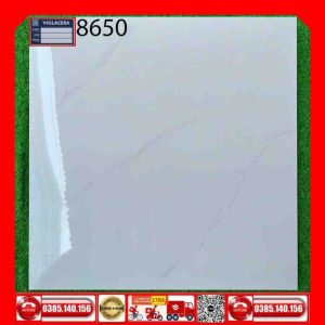Gạch 80x80 Viglacera RM88650