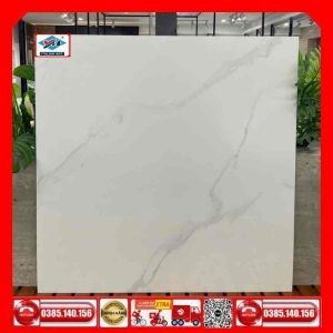 Alternative view of Gạch 80x80 Ý Mỹ Pierre Cardin P85044R