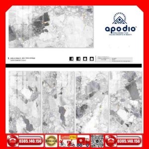 Gạch 60x120 APODIO A61BG801