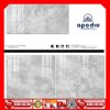 Gạch 60x120 APODIO A61BG812