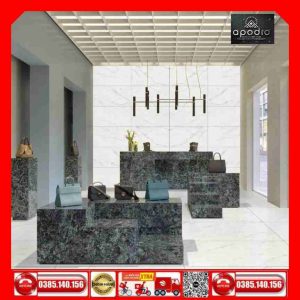 Gạch 60x120 APODIO A61CG1098