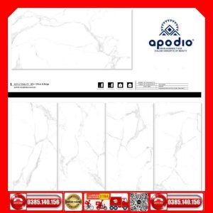 Gạch 60x120 APODIO A61CG809