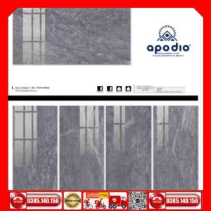 Gạch 60x120 APODIO A61RG903