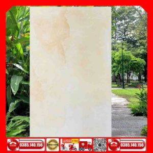 Gạch 60x120 Ấn Độ Honey-Onyx TTT
