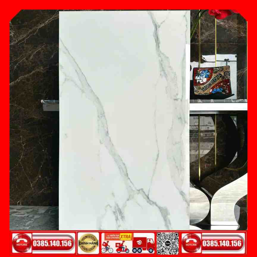 Gạch 60x120 Ấn Độ Satuario-Sparta-Grande TTT - Ảnh 2
