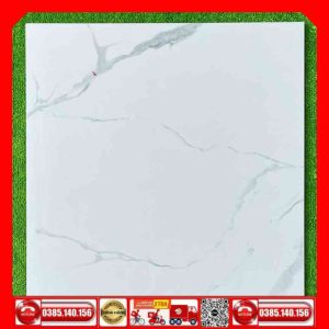 Gạch 60x60 SALES P6502 trắng xám nhẹ