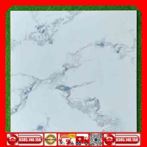 Gạch 60x60 Prime P6503 trắng vân xám