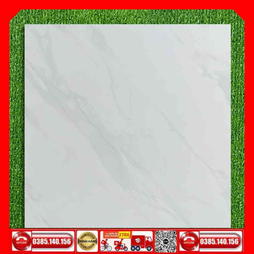 Gạch 60x60 SALES P6528 trắng vân xám