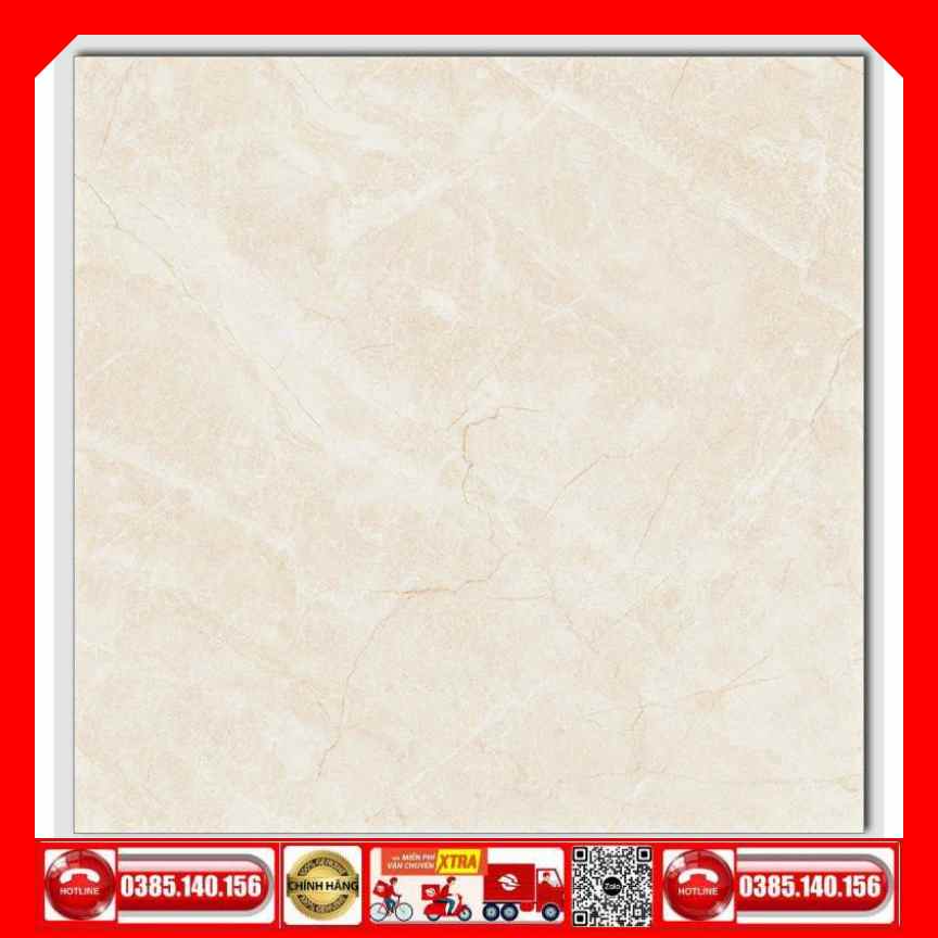 Gạch 60x60 Ý Mỹ P65013C