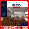 Gạch 1mx1m Thắng Cường GRANCA-GA1010