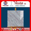 Gạch 1mx1m Thắng Cường Vesta-11004