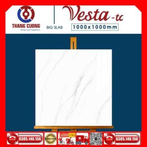 Gạch 1mx1m Thắng Cường Vesta-11032