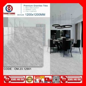 Gạch 120x120 Thắng Cường ONEMAX-OM2312901