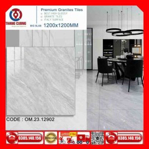 Gạch 120x120 Thắng Cường ONEMAX-2312902